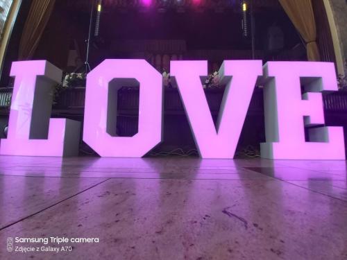 ledowe love